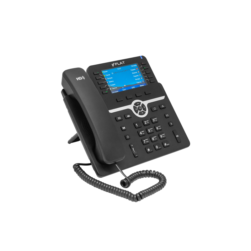 ЖК-дисплей, ТОРП ФЛАТ-ПРО - Российское VOIP оборудование. Flat-Phone B10: 20 SIP-аккаунтов, фото 2