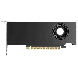 Видеокарта NVIDIA RTX PRO 2000 Blackwell, 16 ГБ GDDR7, mini DisplayPort 2.1, PCI Express 5.0 x8