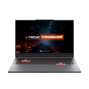 Ноутбук Maibenben X17F-R98956, 8940HX, 16 ГБ ОЗУ, 1024 ГБ, RTX 5060, 17.3 ″