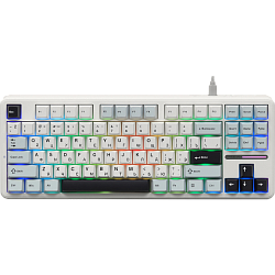 Игровая клавиатура AULA F87 Сине-бело-пурпурный 6978080503800