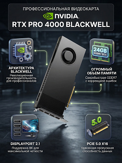 Видеокарта NVIDIA RTX PRO 4000 Blackwell, 24 ГБ GDDR7 с ECC, DisplayPort 2.1, PCI Express 5.0 x16, Bulk