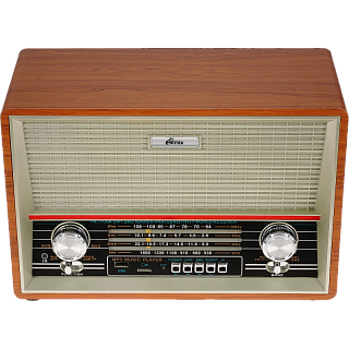 Радиоприёмник портативный Ritmix RPR-102