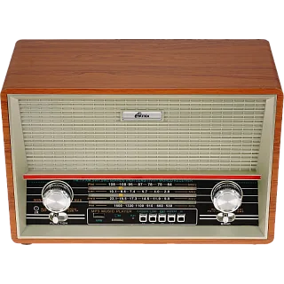 Портативный радиоприёмник Ritmix RPR-102, цвет бук